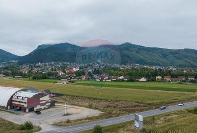 Un lot de casa intrare Sacele 790 mp + 3 loturi de 440mp - 5