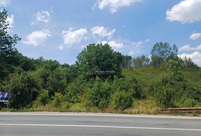 Resita, Terenuri Intravilane 2000 Mp., 28 Euro/Mp., Calea Ca - 17