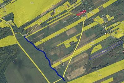 Teren Construcții intravilan de 30000 mp, în Bunghi - 8