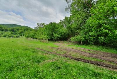 Teren Construcții extravilan de 2000 mp, în Cheile Râșnoavei - 5