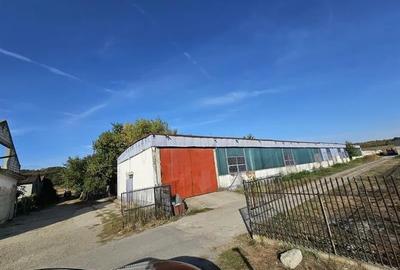 Hala industriala (1000 mp) si teren (4000 mp), Scornicesti, Trafo - 3