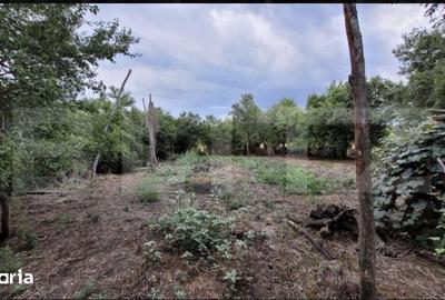 Casă cu 3 camere cu Teren 6869 Mp în Scoarța - 1