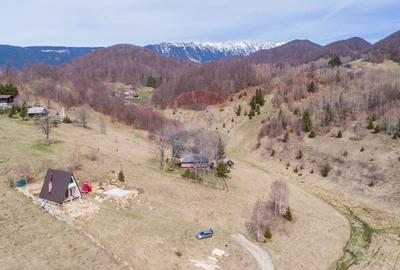 Teren Construcții intravilan de 1788 mp, în Dâmbovicioara - 2