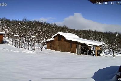 Proprietate deosebita de vanzare cu eficien?a energetica excep?ionala, natura pura - 6