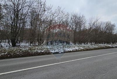 Teren 10,000mp Rada?eni / ?oseaua DN2-E85, jude?ul S... - 17