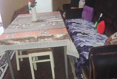 Casă cu 2 camere în Peciu Nou - 4