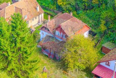 Casa traditionala de vacanta | 3 camere | BRAN | COMISION 0 | Casa traditionala de vacanta | 3 camere | BRAN | COMISION 0 | - 25