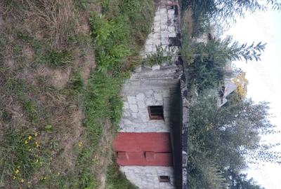Teren de 9800 mp, în Pietrari - 4