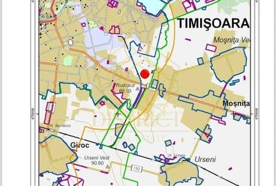Teren Construcții intravilan de 40646 mp, în Buziașului - 3