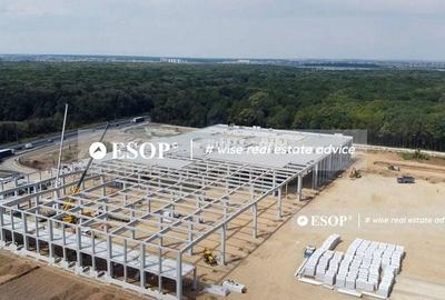 Spațiu comercial, de 600 mp, în Ștefăneștii de Jos - 1