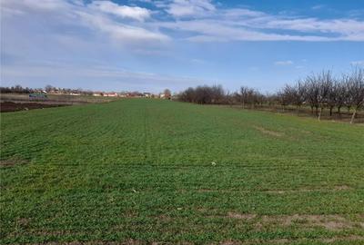 Teren de 9100 mp, în Central - 9
