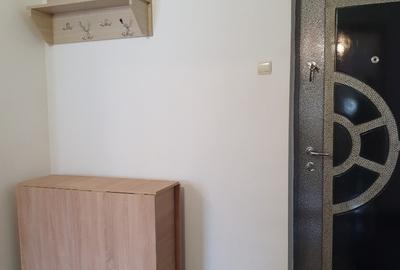 Apartament de inchiriat,2 camere decomandate,proprietar,Dacia,centrala - 7