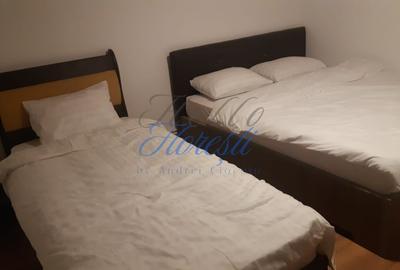 Cabana cu 3 dormitoare , Rasca - 6