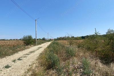 Domnesti Teghes - teren de vanzare parcelat - 10.000mp cu deschidere la padure Domnesti Teghes - teren de vanzare parcelat - 10.000mp cu deschidere la padure - 5