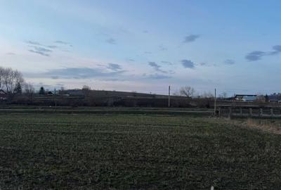 Spațiu comercial, în Pârteștii de Jos - 5