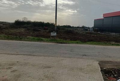 Teren de 15000 mp, în Gălășești (Suseni) - 4