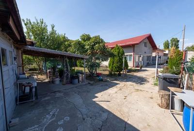 Casa de vanzare 860 mp teren Sos Alexandria - 12