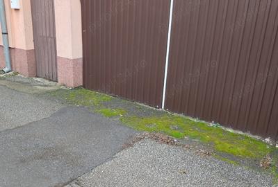 Casă cu 3 camere în Elisabetin - 2