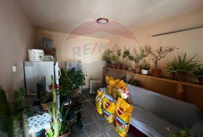 Casa  4 camere 1080 mp teren zona Gradiste - 7