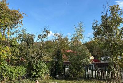 Casă cu 2 camere în Vulcana de Sus - 6