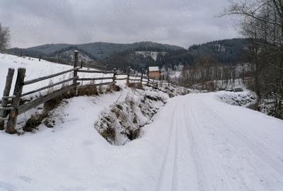 Teren de 12066 mp, în Breaza - 1