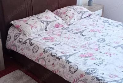 Apartament cu 2 camere semidecomandat în Ultracentral - 6