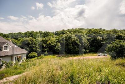 Teren intravilan de vanzare, 1872 mp, zona Valea Popii - Alb - 2