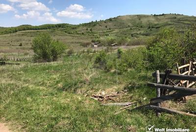 Teren 1071mp, front 34m, str Stejarului Floresti - 5