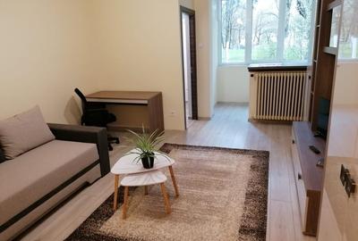 Garsoniera moderna pe Detunata - 4