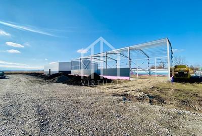 Spațiu industrial, de 528 mp, în Vest - 13