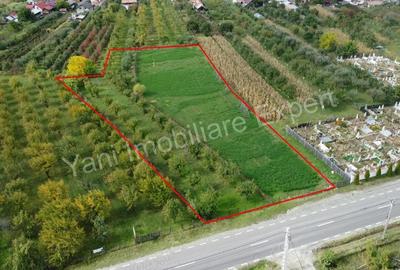 Teren de 2619 mp, în Oeștii Pământeni - 3