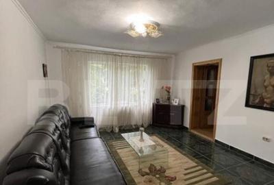 2 CASE, 300mp/700mp, teren 30 ari, zona strada Botizului - 26