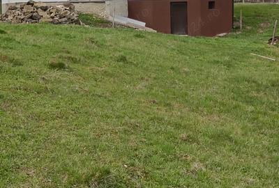 Casa de vanzare cu gradina 2000 metri patra?i - 2