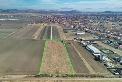 Teren Extravilan, P.U.Z. inceput - 3