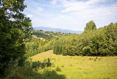 Investitie turistica unica - Bran Sohodol 10131mp-pe traseul Via Transilvanica - 8
