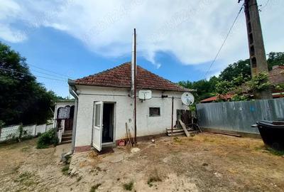 Casă cu 2 camere cu Teren 7000 Mp în Nojag - 2