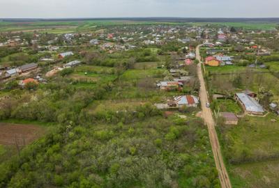 LETCA NOUA, TEREN CONSTRUCTII 1184 MP, FRONT 21 M ! - 11