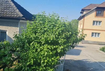 Casă cu 6 camere în Budești - 9