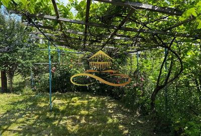 Casa batraneasca cu 2ha de teren de vanzare in sat Balaia / Bacau - 25