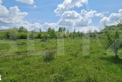 Teren de 1500 mp, în Central - 5