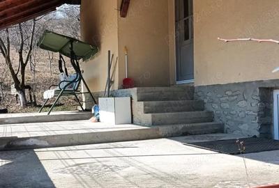 Casă cu Teren 816 Mp în Chiojdu - 3