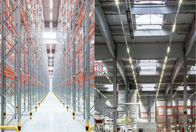 Depozit/hala/spatiu industrial Ciorogarla - A1 - KM13, Ilfo - 7