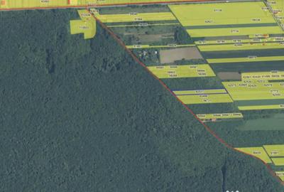 Teren de 4701 mp, în Snagov