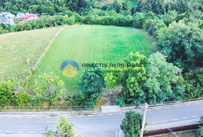 TEREN intravilan  3511 mp - BĂLȚĂTEȘTI - 7