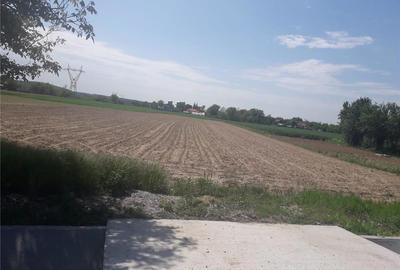 Teren de 5013 mp, în Galicea - 1