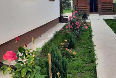 Casă cu 2 camere cu Teren 795 Mp în Buturugeni - 4