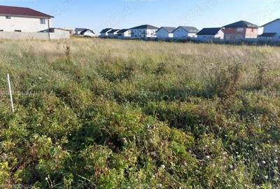 Teren de 687 mp, în Berceni