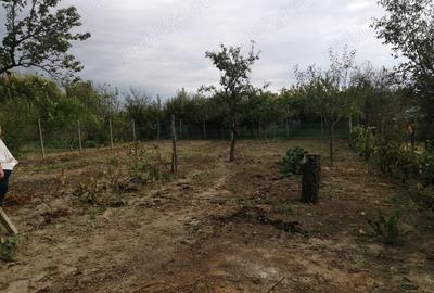 Casa de vanzare in Diosig - 1