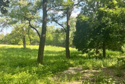 Teren extravilan, 10000 mp, Vicovu de Sus - 1