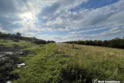 Teren in zona Wonderland cu certificat de urbanism pentru 4 case, view superb - 3